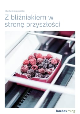 CaseStudy_PL_Eisbaer