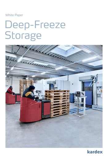 Preview_WhitePaper_Deep-FreezeStorage_450x650px-1